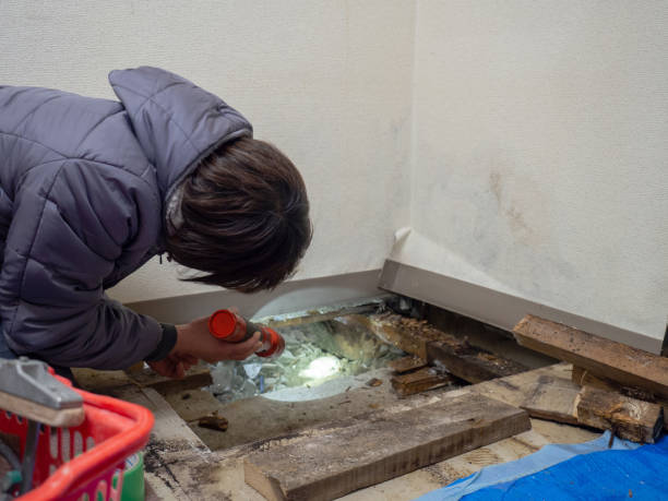 Best Real Estate Mold Inspection  in Jones, OK