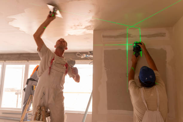 Best Basement Mold Removal  in Jones, OK