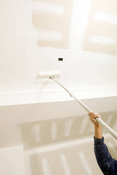 Best Attic Mold Removal  in Jones, OK