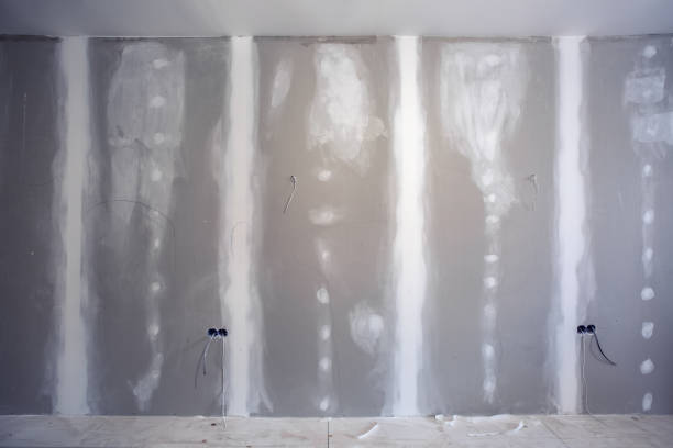 Best Black Mold Removal  in Jones, OK